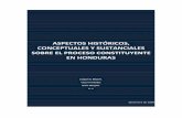 Aspectos históricos, conceptuales y sustanciales sobre el proceso constituyente en Honduras