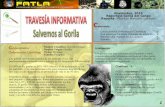 Reportaje Salvemos al Gorila