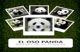 Oso Panda: Retrato de un gigante