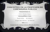 CONCEPTOS DE CONTADURIA PUBLICA 4