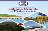 Plan Municipal de Desarrollo de Sabana Grande de Palenque