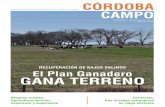Córdoba Campo 08 -noviembre diciembre 2011