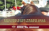 Ecos Prado 2012