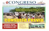 La Voz del Congreso - Edición N° 09 - Consulta Previa