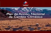 Plan de accion Chile - CONAMA
