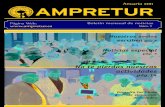 Boletin Ampretur - resumen año 2011