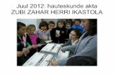 Juul 2012 hauteskunde akta Zubi Zahar