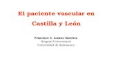 Paciente vascular en Castilla y León