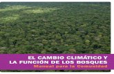 Cambio Climatico y el rol de los bosques