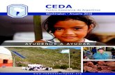 CEDA - Anuario 2010