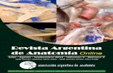 Revista Argentina de Anatomía Online 2012; 3(3):61-96.