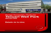 Tacuari well park