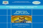 Directiva Odec-Callao 2014
