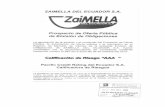 Prospecto Obligaciones Zaimella