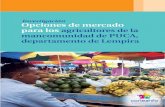 Investigacion de Estudios de Mercado, Lempira, Honduras