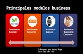modelos business