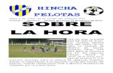 Hincha Pelotas 3