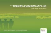 El Derecho a la Consulta de los Pueblos Indígenas en el Perú. Últimos avances