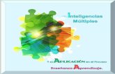 inteligencias multiples y su aplicacion en el procesos de enseñanza aprendizaje