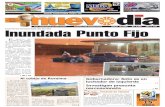 Diario Nuevodia 27-05-2010