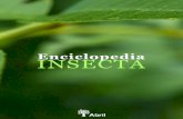 Enciclopedia Insecta