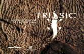 Triàsic. El laberintodont del Montseny