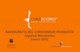 Informe Público Chilescopio Zoom Concepción 2011