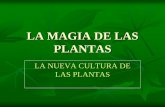 La magia de las Plantas