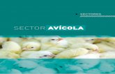 evolucion de la cadena avicola en la argentina 2009-2010
