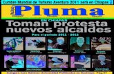Revista Pluma -Enero 2011