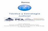 Táctica y Estrategia Judicial