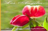 Recuerdo de Acompañantes - Tulipan
