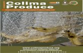 Revista noviembre fundacion Produce Colima