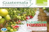 GUATEMALA PRODUCTIVA EDICIÓN 7
