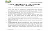 ARAUTEGIA - Euskal Herriko Mus Txapelketa
