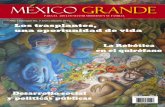 MEXICO GRANDE ENERO 2011
