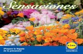 Revista Lidl Sensaciones - Primavera 2012