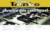Tambo Nº 16 - Julio 2008