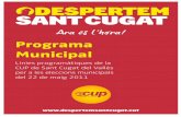 Programa municipal