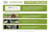 03 - Humana vídeos del mes - noviembre 2013