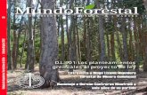 Revista Mundo Forestal