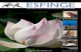 Revista Esfinge 2012-11
