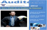 perfil y rol del auditor