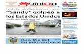 Diario Opinión - Edición Impresa