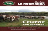 Revista La Normanda 2011