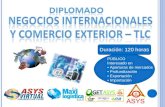 Diplomado en Negocios Internacionales y Comercio Exterior-TLC