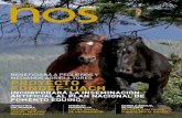 Revista NOS SUR-Puerto Montt - Noviembre 2012