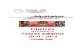 Estrategia de MG de Pueblos indigenas 2010-2015