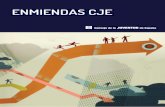 Enmiendas del Consejo de la Juventud de España