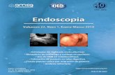 Revista Endoscopia enero 2010